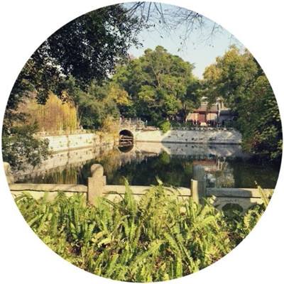 菜鸟修仙游戏下载